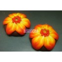 MASINA PASTE FIMO CERNIT