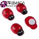 ACCESORII CRAFT - BUBURUZE LEMN 2cm SET 72 BUCATI