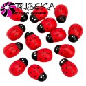 ACCESORII CRAFT - BUBURUZE LEMN 2cm SET 72 BUCATI