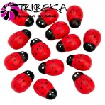 ACCESORII CRAFT - BUBURUZE LEMN 2cm SET 72 BUCATI