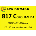 SILICON ADEZIV PROFESIONAL - 817 COPOLIAMIDA