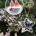 GLOBURI STEA TRANSPARENTE PERSONALIZABILE DIN PLASTIC - SET 4